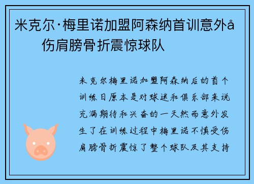 米克尔·梅里诺加盟阿森纳首训意外受伤肩膀骨折震惊球队 米克尔·梅里诺加盟阿森纳首训意外受伤肩膀骨折震惊球队